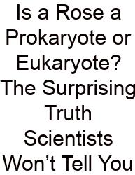 Is A Rose A Prokaryote Or Eukaryote? The Surprising Truth Scientists Won’t Tell You