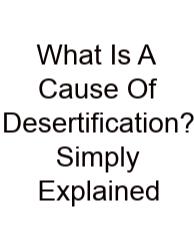 What Is A Cause Of Desertification? Simply Explained